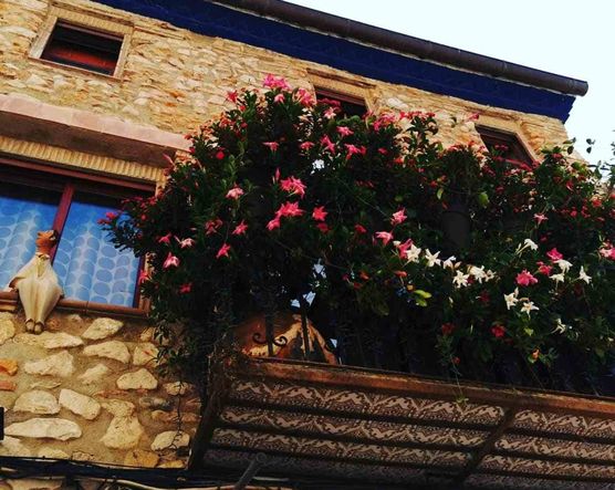 Bild von johlas Bild von johlas