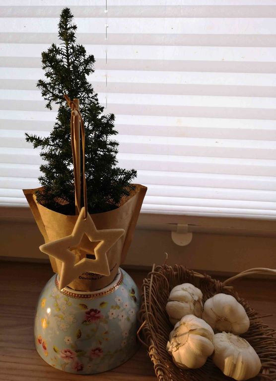 Bild von johlas Bild von johlas