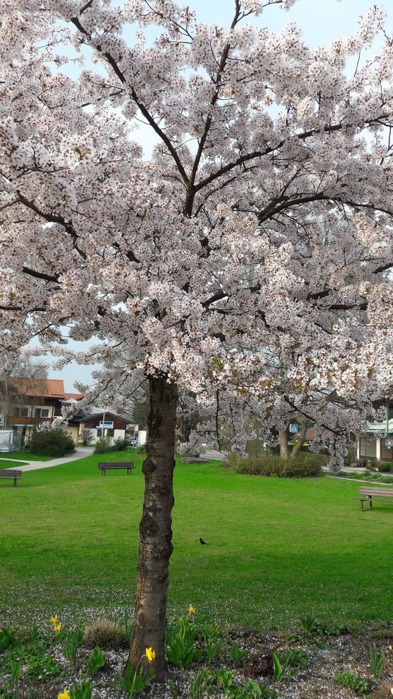 Dann kam der Regen..... Dann kam der Regen.....
