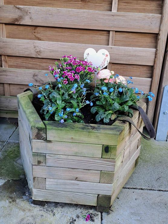 Bild von ChriFi Bild von ChriFi