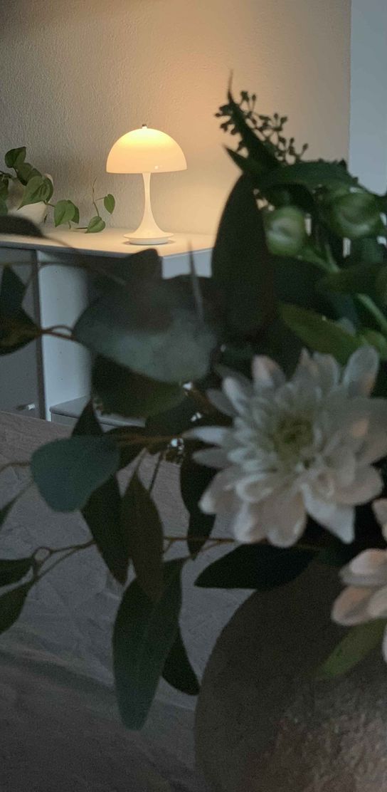 Bild von Ginger1 Bild von Ginger1