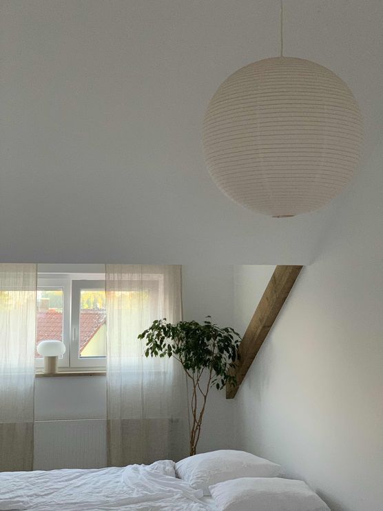 Bild von Ginger1 Bild von Ginger1