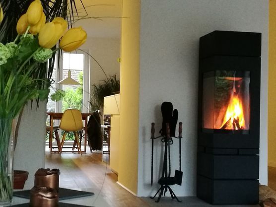 spring :sunflower:vs. winter:snowflake: spring :sunflower:vs. winter:snowflake: