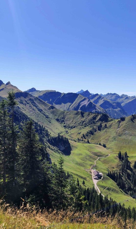 Bild von S_nature_living Bild von S_nature_living