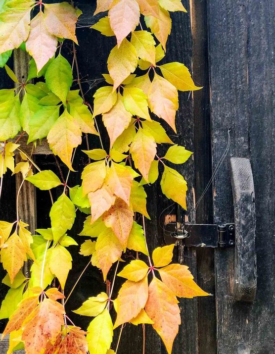 Bild von S_nature_living Bild von S_nature_living