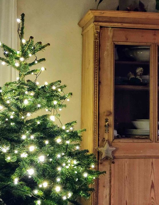 Bild von S_nature_living Bild von S_nature_living