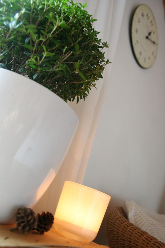 Ich liebe Myrthen Ich liebe Myrthen