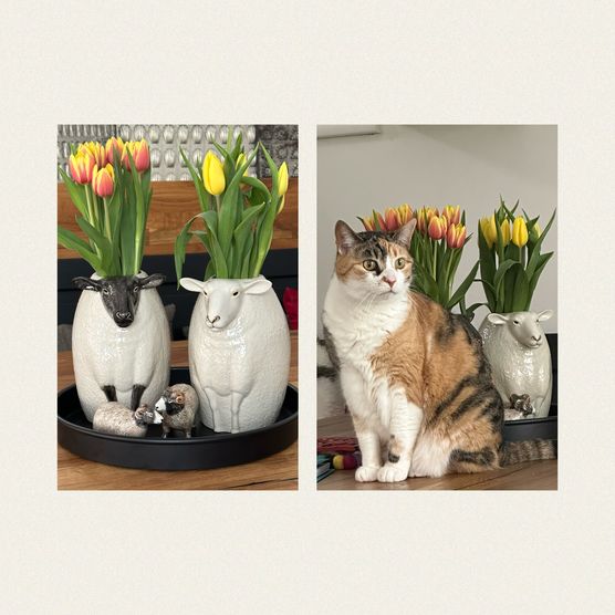 Bild von FrauM. Bild von FrauM.