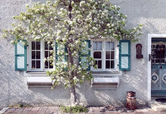 Der verwunschene Eingang zu Der verwunschene Eingang zu