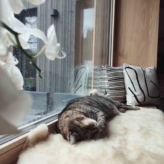 Bild von madame_planke Bild von madame_planke