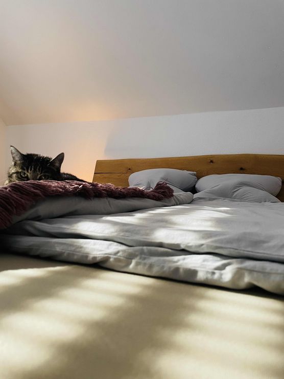 Bild von DaniHubi Bild von DaniHubi