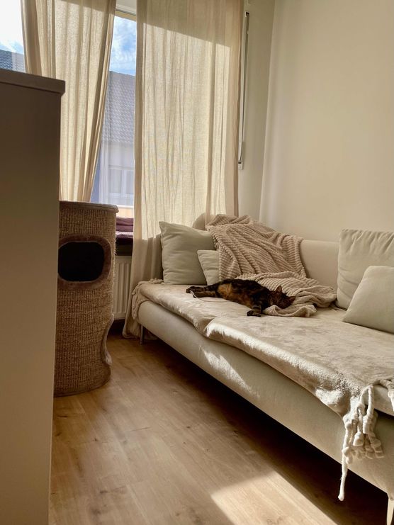 Bild von DaniHubi Bild von DaniHubi