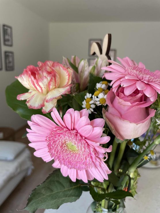 Bild von DaniHubi Bild von DaniHubi