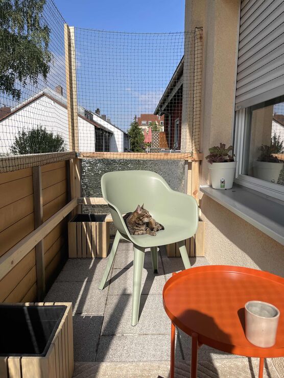 Bild von DaniHubi Bild von DaniHubi