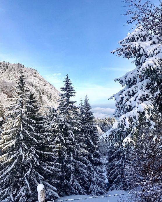 Der erste „richtige“ Schnee💙❄️💙... Der erste „richtige“ Schnee💙❄️💙...