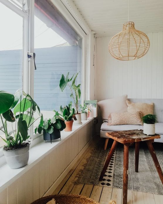 Juhu meinen Pflanzen geht Juhu meinen Pflanzen geht