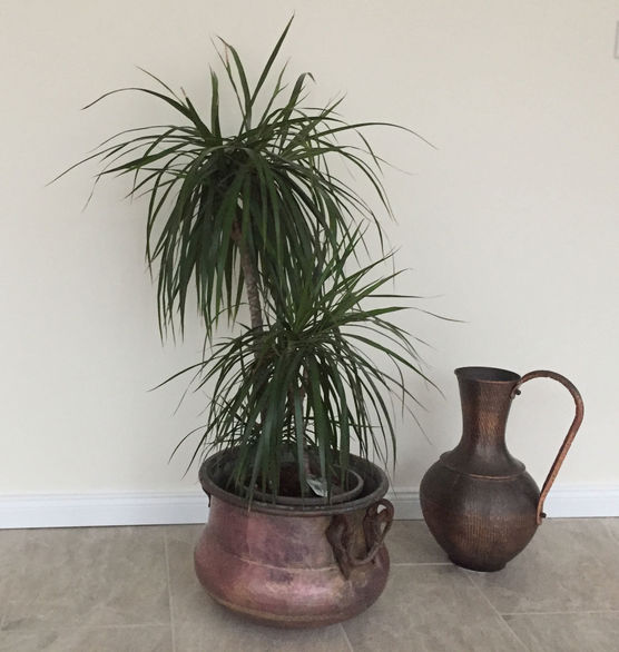 Ihr Lieben, ich habe Ihr Lieben, ich habe