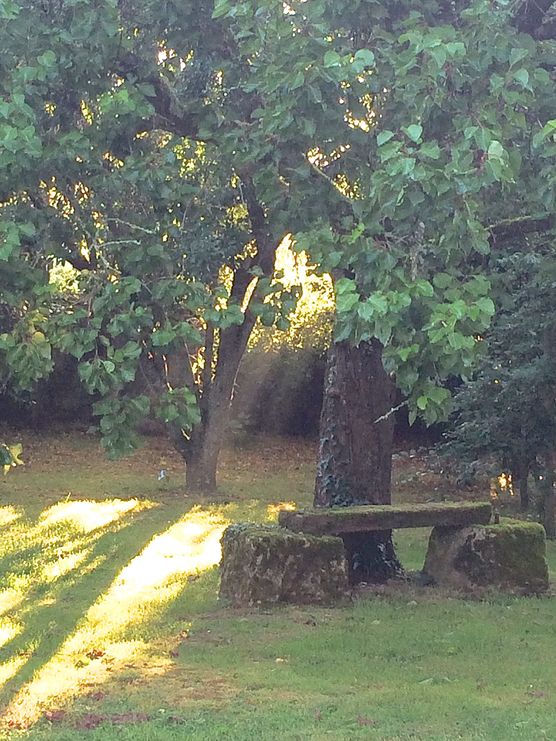 Die Steinbank im Obstgarten Die Steinbank im Obstgarten