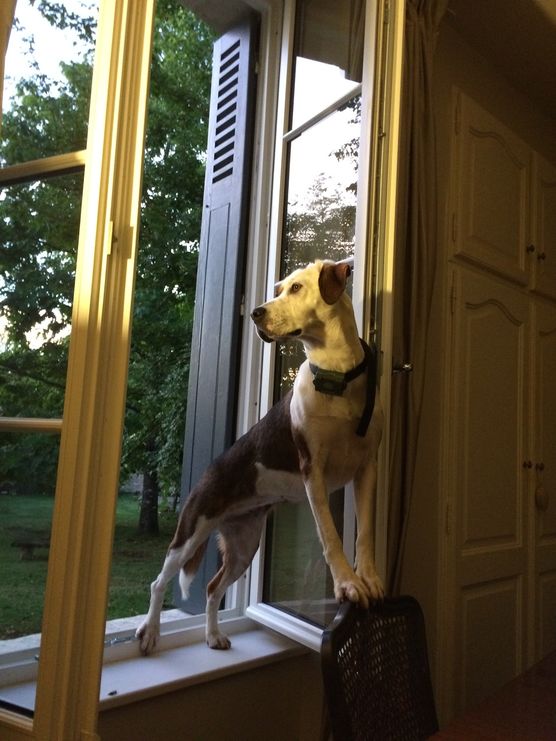 Blick aus dem Fenster Blick aus dem Fenster