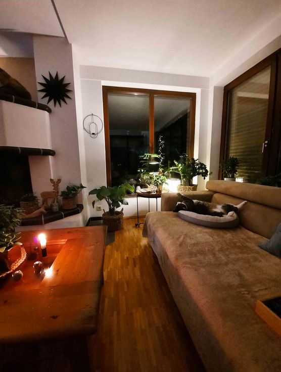 Bild von Braunelle Bild von Braunelle