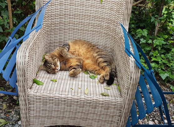 Bild von Wohnhus Bild von Wohnhus