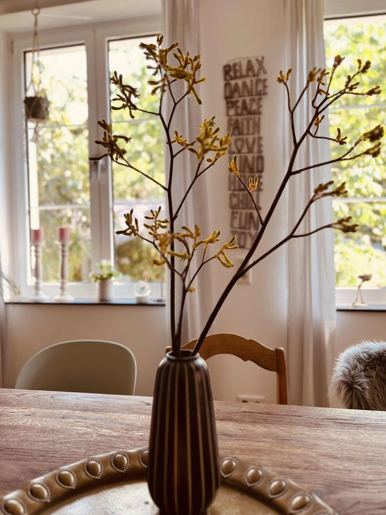 Bild von Sonnesching Bild von Sonnesching