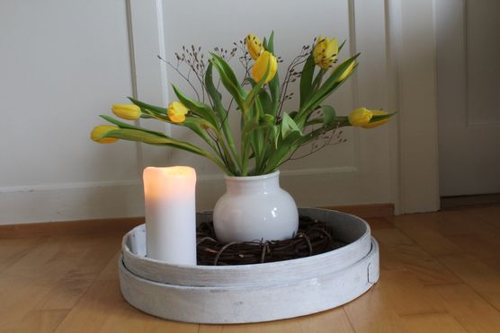 Tulpenpracht Tulpenpracht