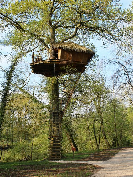 Baumhausträume Baumhausträume