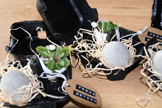 Betonostereier im schwarzen Nest Betonostereier im schwarzen Nest