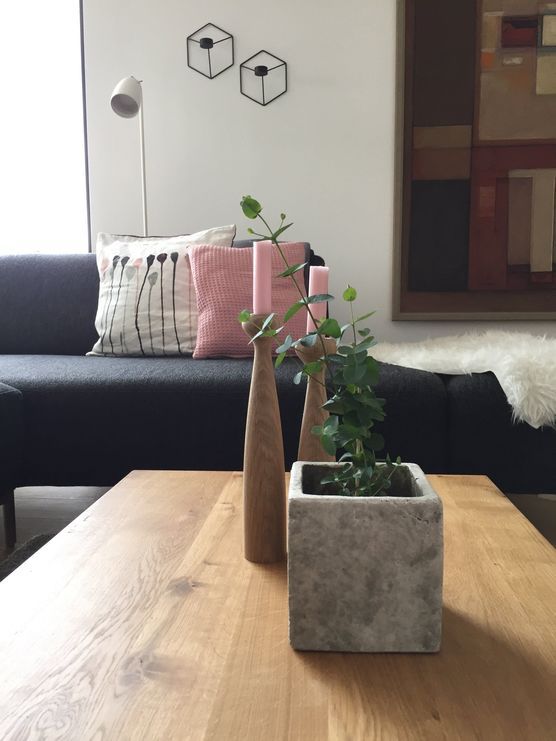 Eukalyptusliebe Eukalyptusliebe