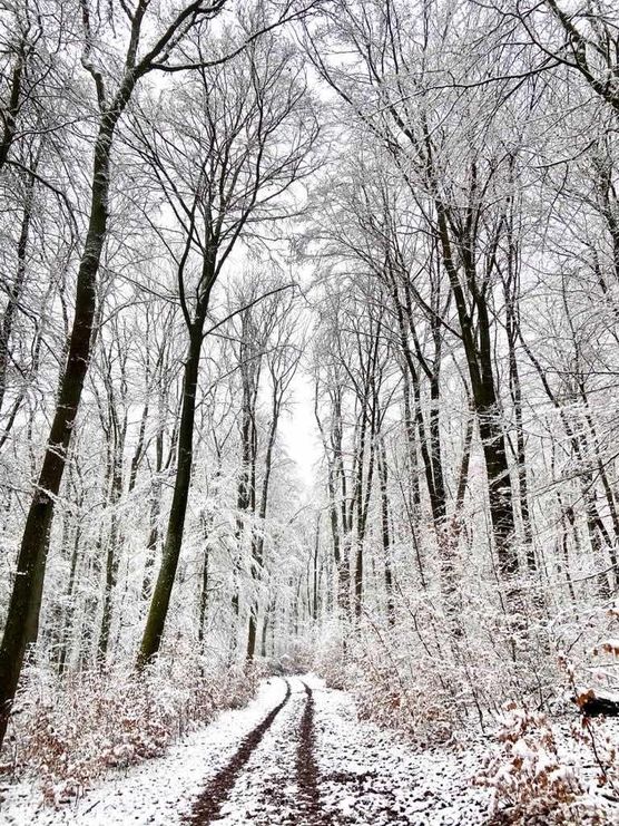 Bild von LarasWelt Bild von LarasWelt