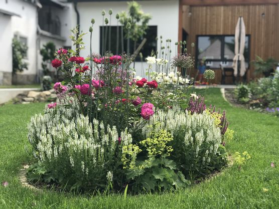 Das Rosenbeet vor dem Das Rosenbeet vor dem