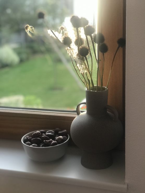 Spätherbst auf meiner Lieblingsfensterbank. Spätherbst auf meiner Lieblingsfensterbank.