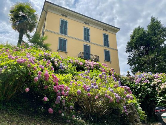 Bild von Dreimädelhaus Bild von Dreimädelhaus