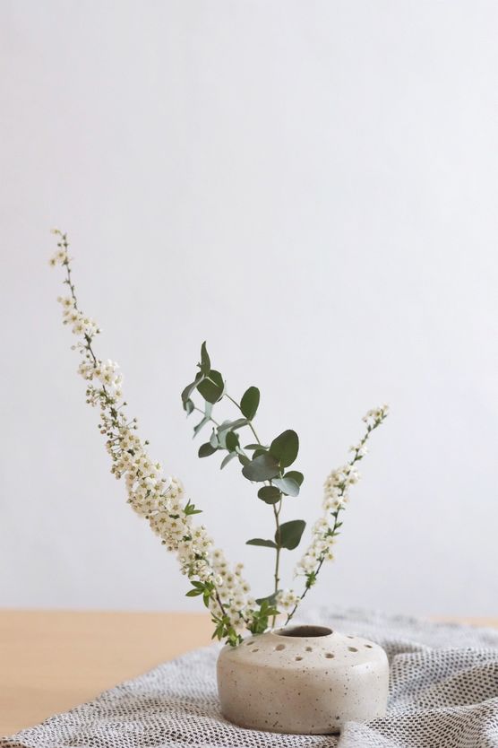 Eine neue Vase ist Eine neue Vase ist