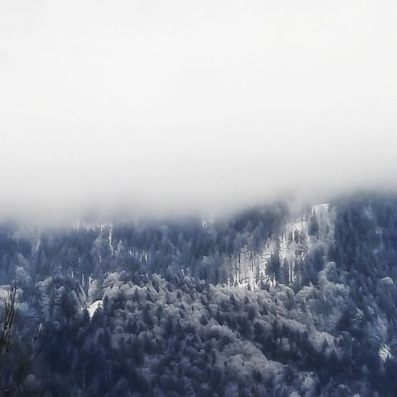 Letztes Wochenende... Letztes Wochenende...