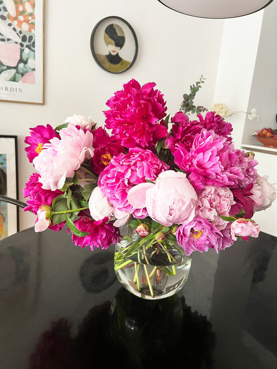 Die schönsten Pfingsrosen aus Die schönsten Pfingsrosen aus