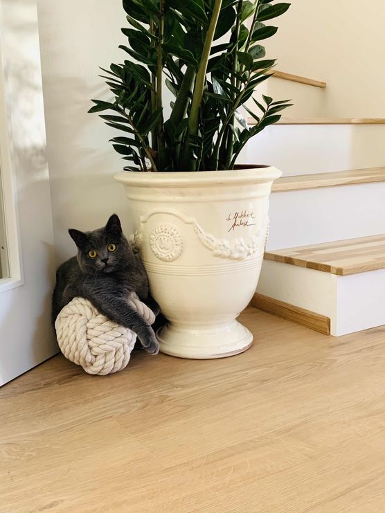 Bild von greige.home Bild von greige.home