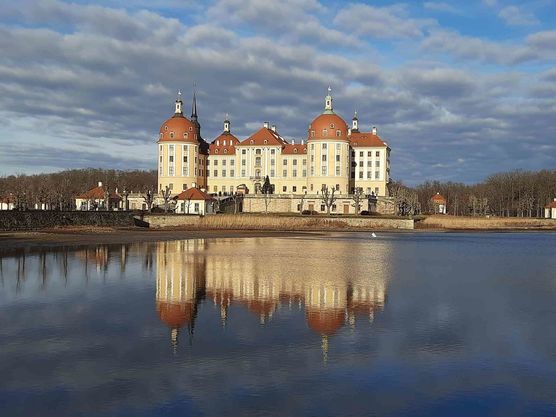 Bild von Freesie Bild von Freesie