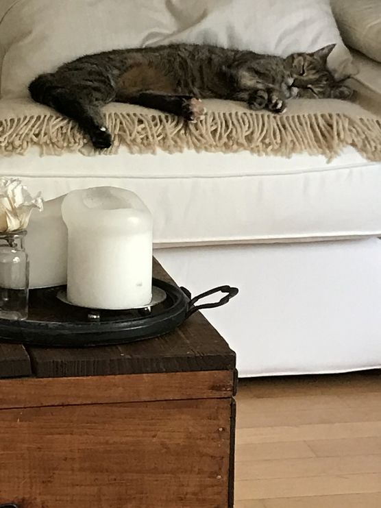 Bei der Hitze hilft Bei der Hitze hilft