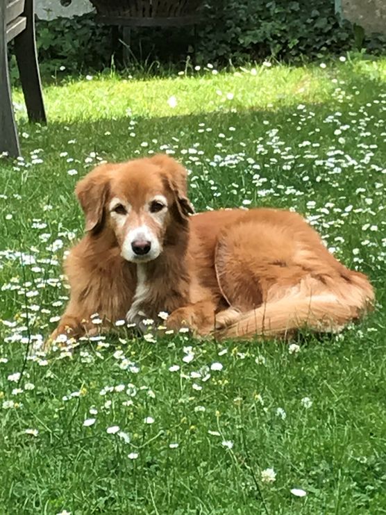 Bisher ist es bei Bisher ist es bei