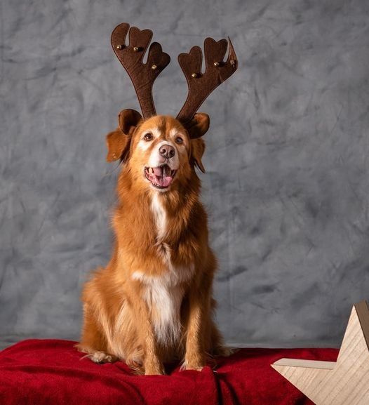 Ich bin ja kein Ich bin ja kein