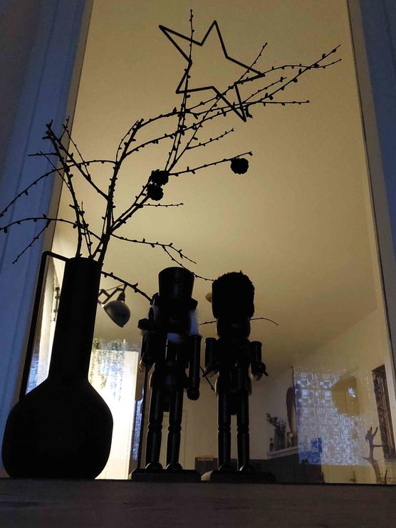 Bild von Coyote Bild von Coyote