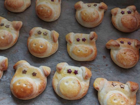 Bild von Coyote Bild von Coyote