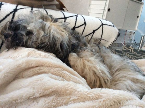 Gute Nacht Leute☺️ Gute Nacht Leute☺️