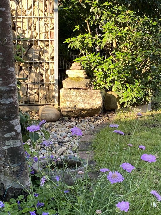 Bild von Linni12 Bild von Linni12