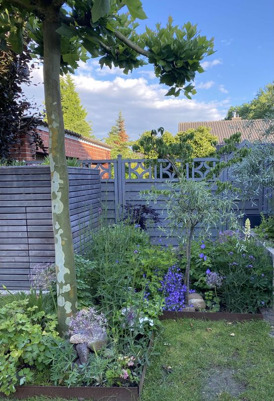 Bild von Linni12 Bild von Linni12