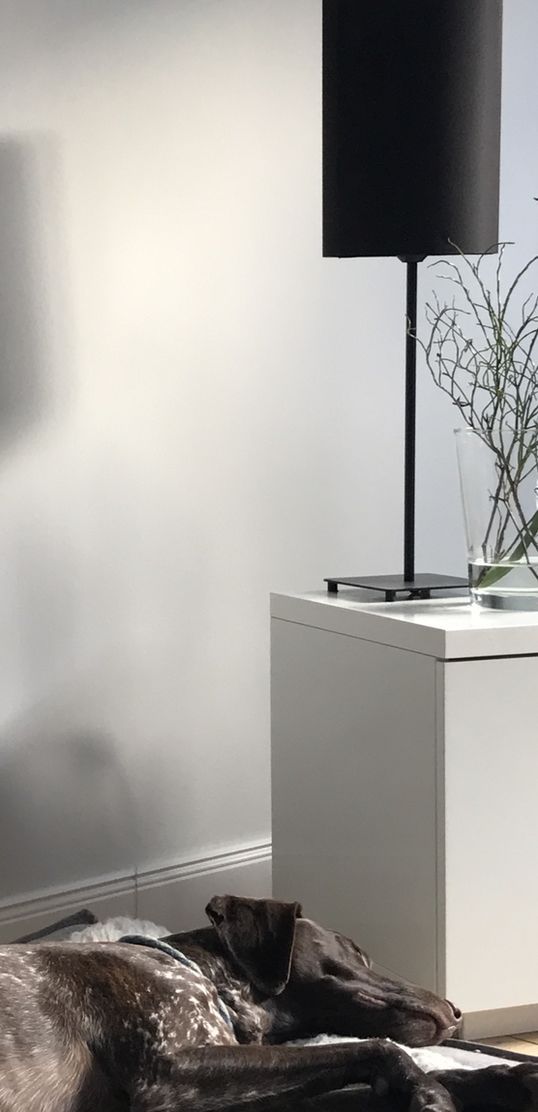 Nori :dog: genießt die :sunny:... Nori :dog: genießt die :sunny:...