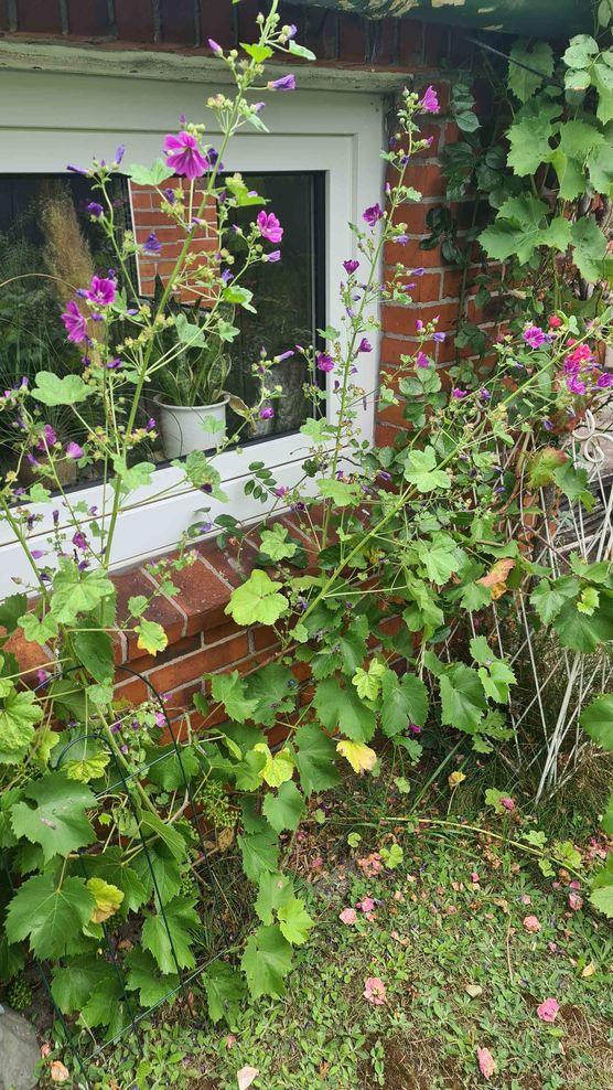 Bild von nmu Bild von nmu