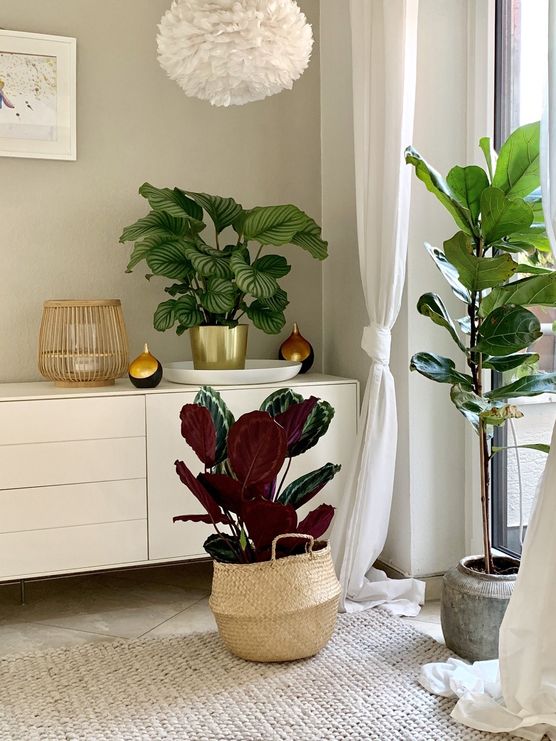 Ich liebe Pflanzen, am Ich liebe Pflanzen, am